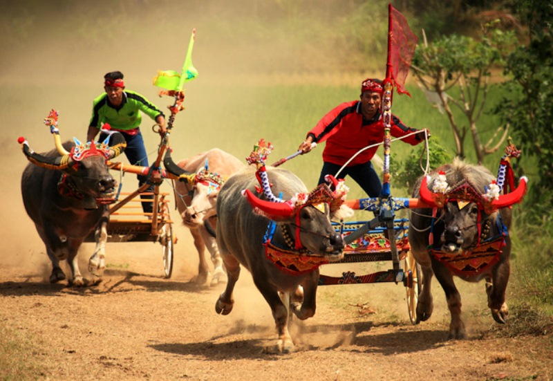 13 Festival di Indonesia ini Luar Biasa Keren﻿ - 13 Festival di Indonesia ini Luar Biasa Keren!﻿