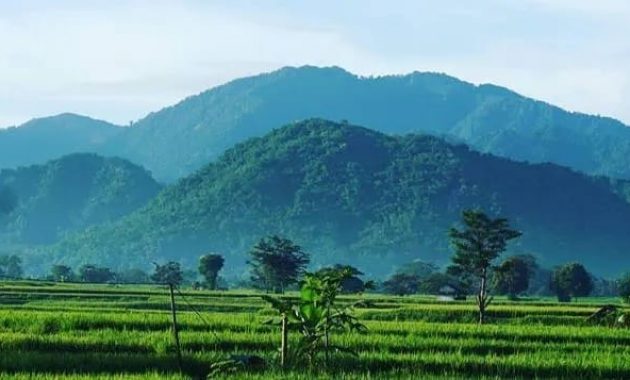 30 Tempat Wisata di Karawang - Objek Keluarga Alam Gunung Logi Pantai Tanjung Baru Samudera Tanjung Pakis 1600356296 660 30 Tempat Wisata di Karawang Objek Keluarga Alam Gunung - 30 Tempat Wisata di Karawang - Objek Keluarga Alam Gunung Logi Pantai Tanjung Baru Samudera Tanjung Pakis