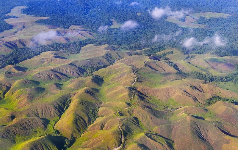 1600365119 467 13 Festival di Indonesia ini Luar Biasa Keren﻿ - 13 Festival di Indonesia ini Luar Biasa Keren!﻿