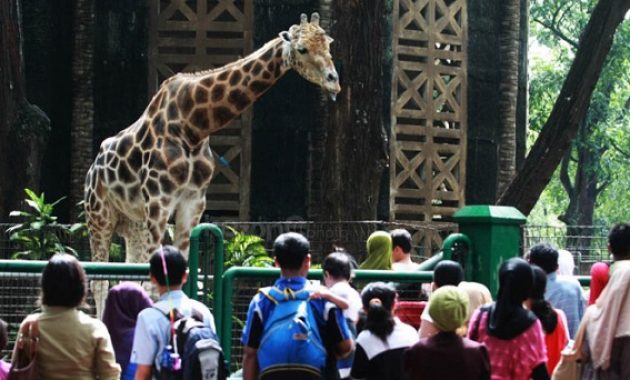 40 Tempat Wisata di Jakarta - Daerah Selatan Kota Barat Timur Pusat Utara TMII dan Sekitarnya Yang Murah Romantis 1600392447 776 40 Tempat Wisata di Jakarta Daerah Selatan Kota Barat - 40 Tempat Wisata di Jakarta - Daerah Selatan Kota Barat Timur Pusat Utara TMII dan Sekitarnya Yang Murah Romantis