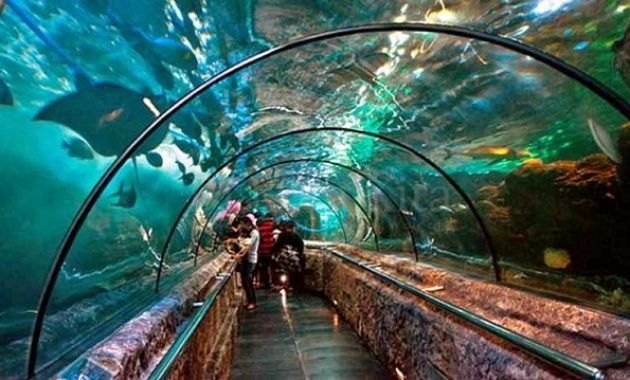 40 Tempat Wisata di Jakarta - Daerah Selatan Kota Barat Timur Pusat Utara TMII dan Sekitarnya Yang Murah Romantis 1600392468 728 40 Tempat Wisata di Jakarta Daerah Selatan Kota Barat - 40 Tempat Wisata di Jakarta - Daerah Selatan Kota Barat Timur Pusat Utara TMII dan Sekitarnya Yang Murah Romantis