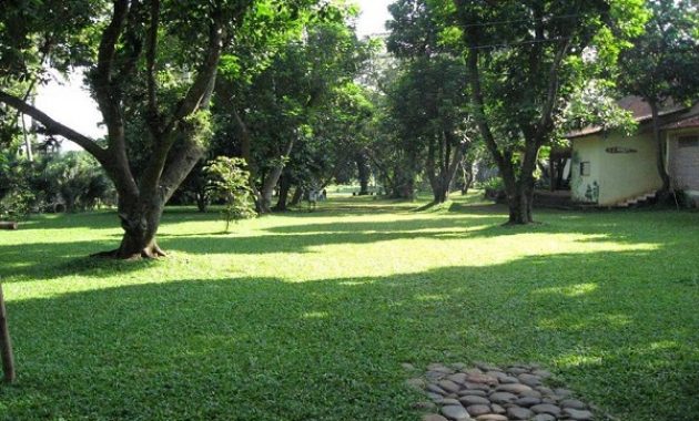 40 Tempat Wisata di Jakarta - Daerah Selatan Kota Barat Timur Pusat Utara TMII dan Sekitarnya Yang Murah Romantis 1600392469 986 40 Tempat Wisata di Jakarta Daerah Selatan Kota Barat - 40 Tempat Wisata di Jakarta - Daerah Selatan Kota Barat Timur Pusat Utara TMII dan Sekitarnya Yang Murah Romantis
