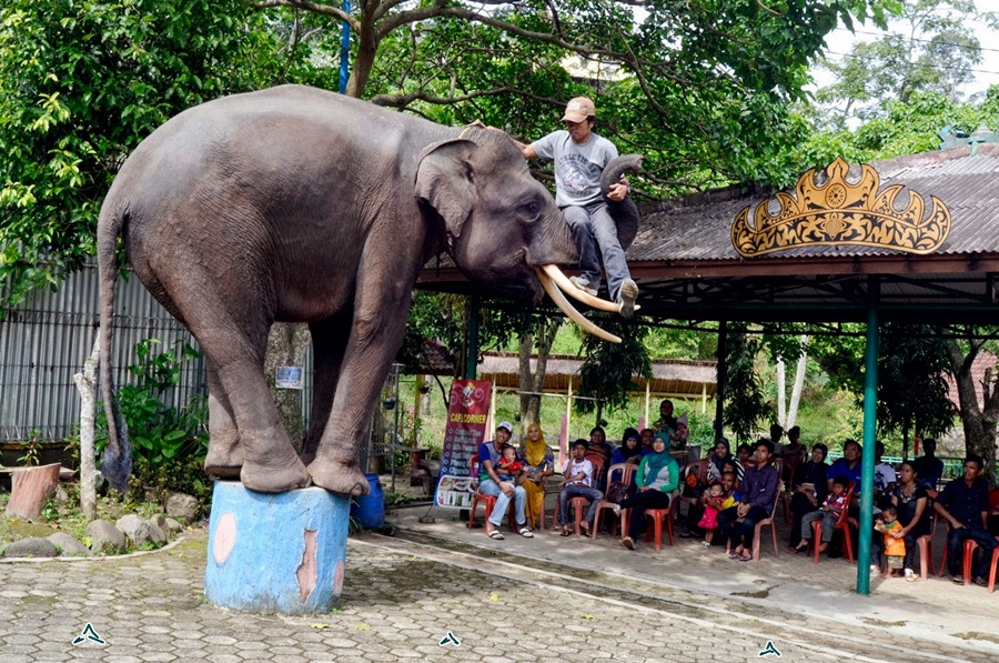 55 Tempat Wisata di Lampung Selatan Timur Tengah Barat Utara Terbaru Yang Bagus Wajib Dikunjungi : Pesawaran Tanjung Karang 1600393549 789 55 Tempat Wisata di Lampung Selatan Timur Tengah Barat Utara - 55 Tempat Wisata di Lampung Selatan Timur Tengah Barat Utara Terbaru Yang Bagus Wajib Dikunjungi : Pesawaran Tanjung Karang