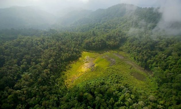 30 Tempat Wisata di Papua - Yang Terkenal Selain Raja Ampat Tengah Barat Nugini 1600394632 605 30 Tempat Wisata di Papua Yang Terkenal Selain Raja - 30 Tempat Wisata di Papua - Yang Terkenal Selain Raja Ampat Tengah Barat Nugini