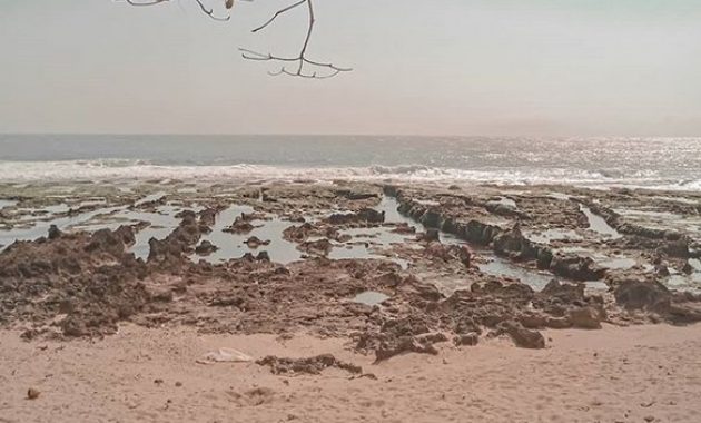10 Foto Pantai Rancabuaya Garut, Harga Tiket Masuk Jalur Menuju Lokasi Penginapan Sejarah 1600399572 419 10 Foto Pantai Rancabuaya Garut Harga Tiket Masuk Jalur Menuju - 10 Foto Pantai Rancabuaya Garut, Harga Tiket Masuk Jalur Menuju Lokasi Penginapan Sejarah