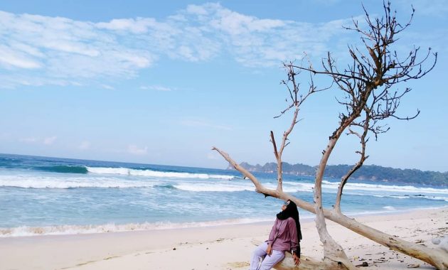 10 Foto Pantai Sendiki Malang Terbaru Harga Tiket Masuk Camping Rumah Pohon Penginapan Mitos Angker 1600403845 528 10 Foto Pantai Sendiki Malang Terbaru Harga Tiket Masuk Camping - 10 Foto Pantai Sendiki Malang Terbaru Harga Tiket Masuk Camping Rumah Pohon Penginapan Mitos Angker