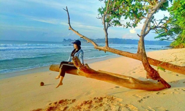 10 Foto Pantai Sendiki Malang Terbaru Harga Tiket Masuk Camping Rumah Pohon Penginapan Mitos Angker 1600403847 480 10 Foto Pantai Sendiki Malang Terbaru Harga Tiket Masuk Camping - 10 Foto Pantai Sendiki Malang Terbaru Harga Tiket Masuk Camping Rumah Pohon Penginapan Mitos Angker