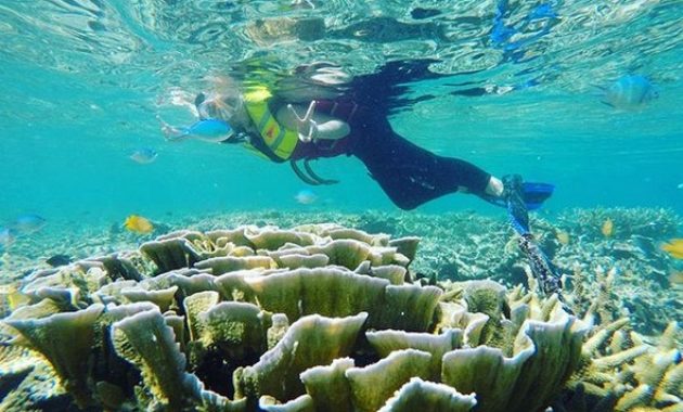 10 Foto Pulau Bira Kepulauan Seribu, Paket Besar Kecil Resort Wisata Misteri 1600412146 249 10 Foto Pulau Bira Kepulauan Seribu Paket Besar Kecil Resort - 10 Foto Pulau Bira Kepulauan Seribu, Paket Besar Kecil Resort Wisata Misteri