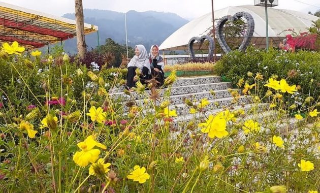 10 Gambar Taman Matahari Bogor Terbaru Harga Tiket Masuk Lokasi Wisata Cisarua Puncak 1600414896 601 10 Gambar Taman Matahari Bogor Terbaru Harga Tiket Masuk Lokasi - 10 Gambar Taman Matahari Bogor Terbaru Harga Tiket Masuk Lokasi Wisata Cisarua Puncak
