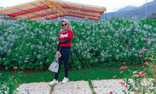 10 Gambar Taman Matahari Bogor Terbaru Harga Tiket Masuk Lokasi Wisata Cisarua Puncak 1600414904 741 10 Gambar Taman Matahari Bogor Terbaru Harga Tiket Masuk Lokasi - 10 Gambar Taman Matahari Bogor Terbaru Harga Tiket Masuk Lokasi Wisata Cisarua Puncak
