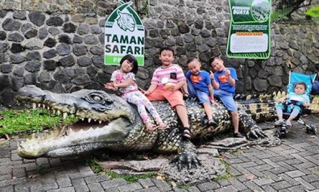 10 Gambar Taman Safari Prigen - Harga Tiket Masuk Peta Alamat Video Wisata Pasuruan 1600417901 927 10 Gambar Taman Safari Prigen Harga Tiket Masuk Peta - 10 Gambar Taman Safari Prigen - Harga Tiket Masuk Peta Alamat Video Wisata Pasuruan