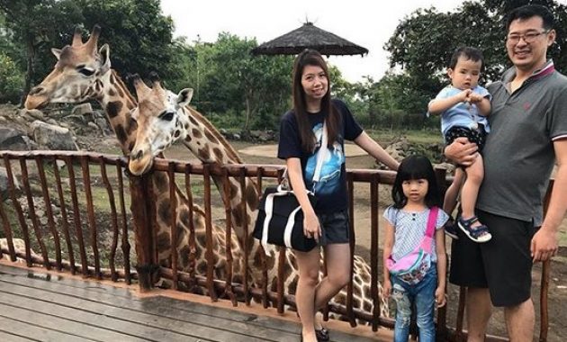 10 Gambar Taman Safari Prigen - Harga Tiket Masuk Peta Alamat Video Wisata Pasuruan 1600417906 175 10 Gambar Taman Safari Prigen Harga Tiket Masuk Peta - 10 Gambar Taman Safari Prigen - Harga Tiket Masuk Peta Alamat Video Wisata Pasuruan