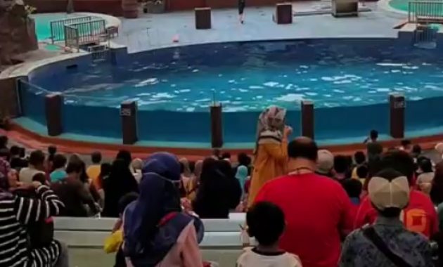 10 Gambar Taman Safari Prigen - Harga Tiket Masuk Peta Alamat Video Wisata Pasuruan 1600417909 287 10 Gambar Taman Safari Prigen Harga Tiket Masuk Peta - 10 Gambar Taman Safari Prigen - Harga Tiket Masuk Peta Alamat Video Wisata Pasuruan