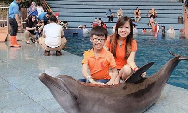 10 Gambar Taman Safari Prigen - Harga Tiket Masuk Peta Alamat Video Wisata Pasuruan 1600417910 378 10 Gambar Taman Safari Prigen Harga Tiket Masuk Peta - 10 Gambar Taman Safari Prigen - Harga Tiket Masuk Peta Alamat Video Wisata Pasuruan
