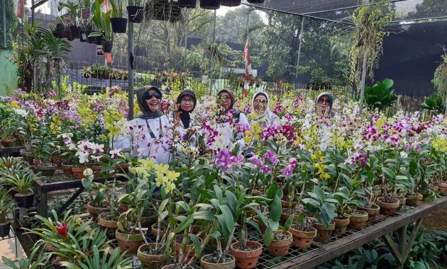 Harga Tiket Masuk Taman Anggrek Ragunan, Lokasi Jakarta Selatan 1600429131 152 Harga Tiket Masuk Taman Anggrek Ragunan Lokasi Jakarta Selatan - Harga Tiket Masuk Taman Anggrek Ragunan, Lokasi Jakarta Selatan