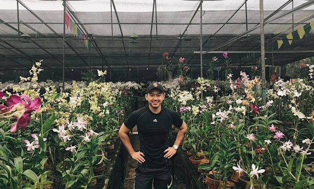 Harga Tiket Masuk Taman Anggrek Ragunan, Lokasi Jakarta Selatan 1600429140 952 Harga Tiket Masuk Taman Anggrek Ragunan Lokasi Jakarta Selatan - Harga Tiket Masuk Taman Anggrek Ragunan, Lokasi Jakarta Selatan