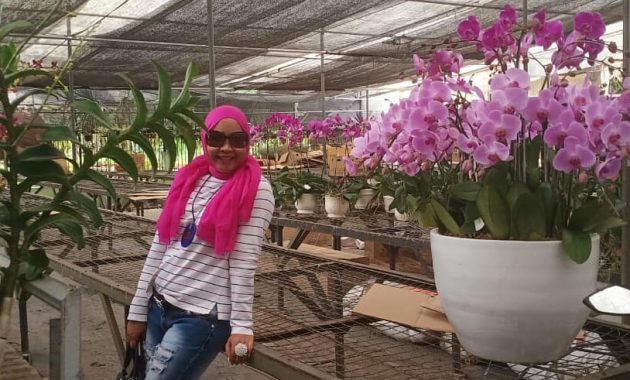 Harga Tiket Masuk Taman Anggrek Ragunan, Lokasi Jakarta Selatan 1600429146 969 Harga Tiket Masuk Taman Anggrek Ragunan Lokasi Jakarta Selatan - Harga Tiket Masuk Taman Anggrek Ragunan, Lokasi Jakarta Selatan