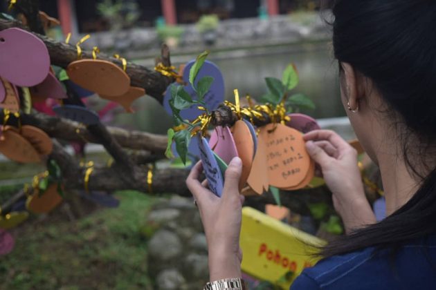 Tiket Masuk Taman Lele Semarang, Tarif Hotel Jam Buka Kampung Wisata 1600434439 30 Tiket Masuk Taman Lele Semarang Tarif Hotel Jam Buka Kampung - Tiket Masuk Taman Lele Semarang, Tarif Hotel Jam Buka Kampung Wisata