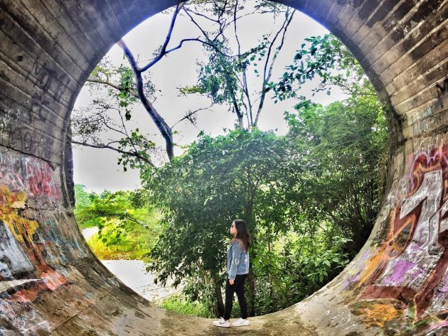 10 Foto Hutan Tinjomoyo Semarang, Harga Tiket Masuk Wisata Misteri Lokasi Peta Alamat Kawasan 1600438119 82 10 Foto Hutan Tinjomoyo Semarang Harga Tiket Masuk Wisata Misteri - 10 Foto Hutan Tinjomoyo Semarang, Harga Tiket Masuk Wisata Misteri Lokasi Peta Alamat Kawasan