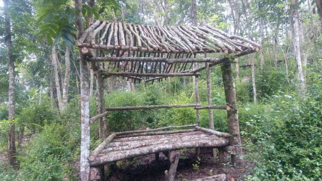 10 Foto Hutan Tinjomoyo Semarang, Harga Tiket Masuk Wisata Misteri Lokasi Peta Alamat Kawasan 1600438149 470 10 Foto Hutan Tinjomoyo Semarang Harga Tiket Masuk Wisata Misteri - 10 Foto Hutan Tinjomoyo Semarang, Harga Tiket Masuk Wisata Misteri Lokasi Peta Alamat Kawasan