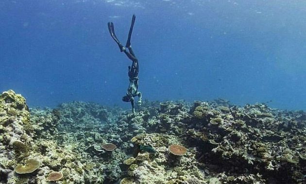 10 Foto Pulau Tegal Mas Lampung, Biaya Harga Tiket Masuk Ke Penginapan 1600466495 736 10 Foto Pulau Tegal Mas Lampung Biaya Harga Tiket Masuk - 10 Foto Pulau Tegal Mas Lampung, Biaya Harga Tiket Masuk Ke Penginapan