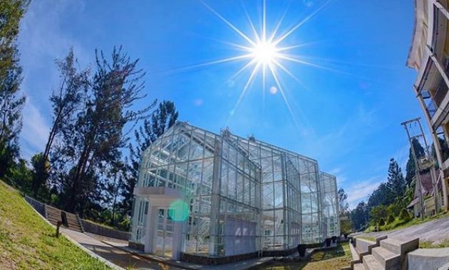 10 Foto Kebun Raya Cibodas Cianjur, Harga Tiket Masuk Lokasi Alamat Jam Buka Tutup Nomer Telepon 1600548281 78 10 Foto Kebun Raya Cibodas Cianjur Harga Tiket Masuk Lokasi - 10 Foto Kebun Raya Cibodas Cianjur, Harga Tiket Masuk Lokasi Alamat Jam Buka Tutup Nomer Telepon