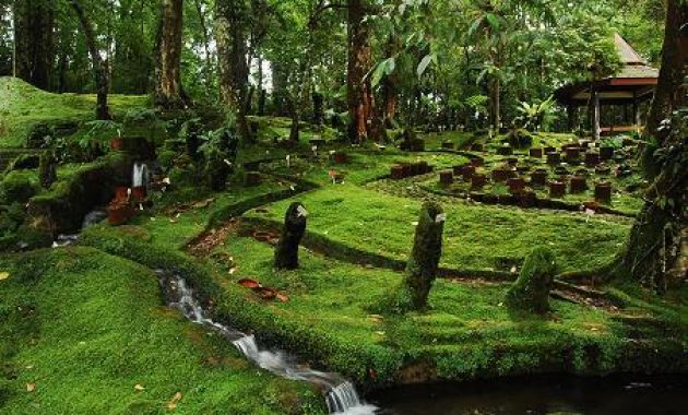 10 Foto Kebun Raya Cibodas Cianjur, Harga Tiket Masuk Lokasi Alamat Jam Buka Tutup Nomer Telepon 1600548285 154 10 Foto Kebun Raya Cibodas Cianjur Harga Tiket Masuk Lokasi - 10 Foto Kebun Raya Cibodas Cianjur, Harga Tiket Masuk Lokasi Alamat Jam Buka Tutup Nomer Telepon
