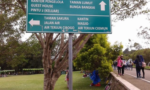 10 Foto Kebun Raya Cibodas Cianjur, Harga Tiket Masuk Lokasi Alamat Jam Buka Tutup Nomer Telepon 1600548287 826 10 Foto Kebun Raya Cibodas Cianjur Harga Tiket Masuk Lokasi - 10 Foto Kebun Raya Cibodas Cianjur, Harga Tiket Masuk Lokasi Alamat Jam Buka Tutup Nomer Telepon