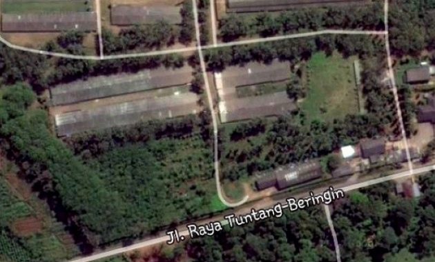 10 Foto Tlogo Plantation Salatiga, Lokasi Alamat Wisata + Harga Tarif Hotel Villa Spa 1600558248 457 10 Foto Tlogo Plantation Salatiga Lokasi Alamat Wisata Harga - 10 Foto Tlogo Plantation Salatiga, Lokasi Alamat Wisata + Harga Tarif Hotel Villa Spa