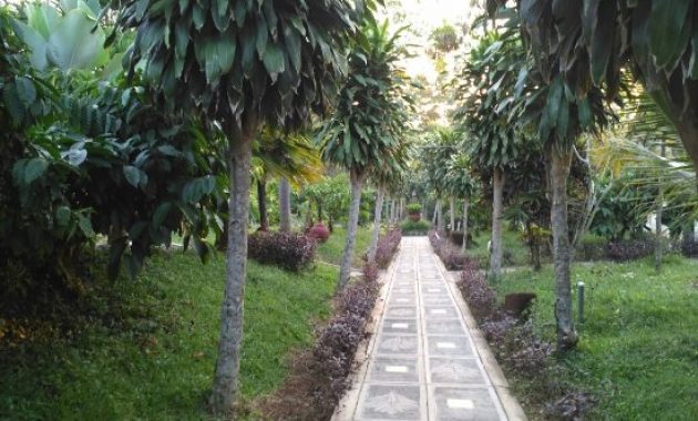 10 Foto Tlogo Plantation Salatiga, Lokasi Alamat Wisata + Harga Tarif Hotel Villa Spa 1600558264 812 10 Foto Tlogo Plantation Salatiga Lokasi Alamat Wisata Harga - 10 Foto Tlogo Plantation Salatiga, Lokasi Alamat Wisata + Harga Tarif Hotel Villa Spa