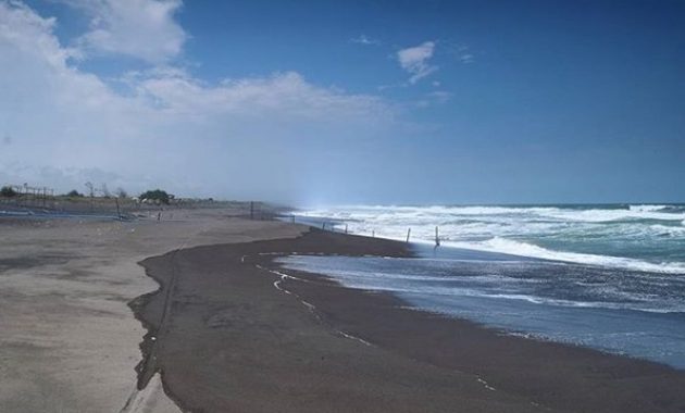 10 Foto Pantai Jetis Purworejo, Rute Jalur Menuju Lokasi + Keindahan Wisata 1600567595 634 10 Foto Pantai Jetis Purworejo Rute Jalur Menuju Lokasi - 10 Foto Pantai Jetis Purworejo, Rute Jalur Menuju Lokasi + Keindahan Wisata