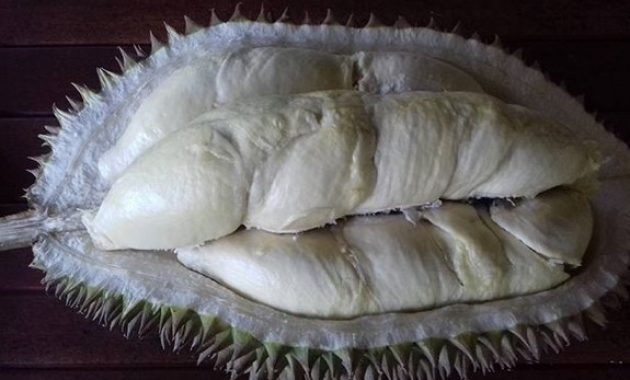 10 Foto Kebun Durian dan Wisata Edukasi Watu Simbar Semarang, Lokasi Alamat + Jam Buka 1600571782 884 10 Foto Kebun Durian dan Wisata Edukasi Watu Simbar Semarang - 10 Foto Kebun Durian dan Wisata Edukasi Watu Simbar Semarang, Lokasi Alamat + Jam Buka