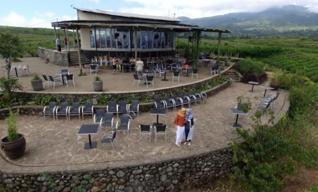 9 Daftar Villa di Malino Rp.250.000 Harga Bagus Murah Dekat Kebun Teh Strawberry Gowa Sulawesi Selatan Terbaru 1600633423 252 9 Daftar Villa di Malino Rp250000 Harga Bagus Murah Dekat - 9 Daftar Villa di Malino Rp.250.000 Harga Bagus Murah Dekat Kebun Teh Strawberry Gowa Sulawesi Selatan Terbaru