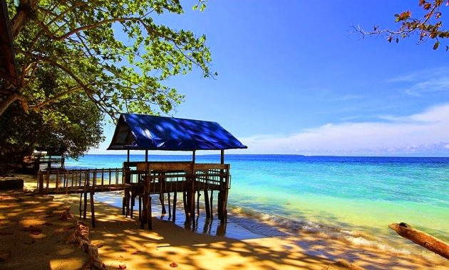 10 Pantai di Papua Raja Ampat Yang Menjadi Salah Satu Dari Wisata Menyelam Terbaik Dunia dan Terkenal 1600688156 634 10 Pantai di Papua Raja Ampat Yang Menjadi Salah Satu - 10 Pantai di Papua Raja Ampat Yang Menjadi Salah Satu Dari Wisata Menyelam Terbaik Dunia dan Terkenal
