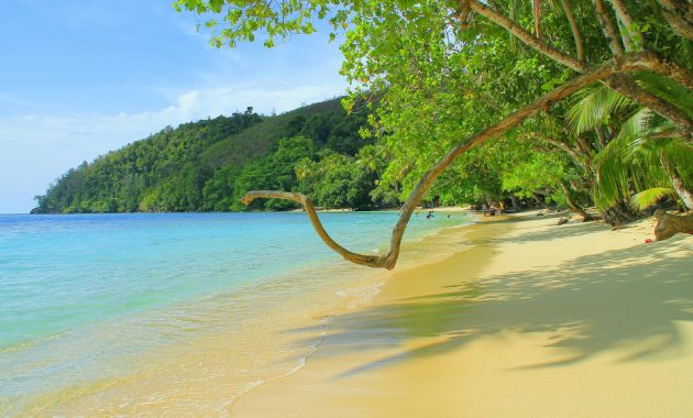 10 Pantai di Papua Raja Ampat Yang Menjadi Salah Satu Dari Wisata Menyelam Terbaik Dunia dan Terkenal 1600688160 232 10 Pantai di Papua Raja Ampat Yang Menjadi Salah Satu - 10 Pantai di Papua Raja Ampat Yang Menjadi Salah Satu Dari Wisata Menyelam Terbaik Dunia dan Terkenal