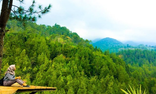 Harga Tiket Terbaru Coban Putri Batu Malang 1600809781 911 10 Foto Coban Putri Batu Malang Terbaru Harga Tiket Masuk - Harga Tiket Terbaru Coban Putri Batu Malang