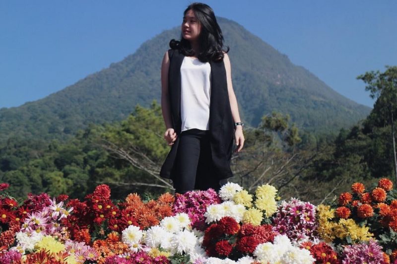 10 Foto Batu Flower Garden Terbaru Harga Tiket Masuk Wisata Wahana Salju Pengalaman ke Coban Rais Malang 1600899873 807 10 Foto Batu Flower Garden Terbaru Harga Tiket Masuk Wisata - 10 Foto Batu Flower Garden Terbaru Harga Tiket Masuk Wisata Wahana Salju Pengalaman ke Coban Rais Malang