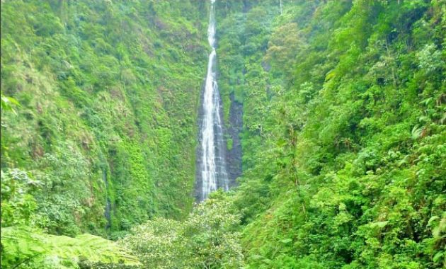 10 Air Terjun di Jember Jawa Timur Daerah Tempat Lokasi Baru Yang Bagus Masih Tersembunyi Dari Langit 1601054958 65 10 Air Terjun di Jember Jawa Timur Daerah Tempat Lokasi - 10 Air Terjun di Jember Jawa Timur Daerah Tempat Lokasi Baru Yang Bagus Masih Tersembunyi Dari Langit